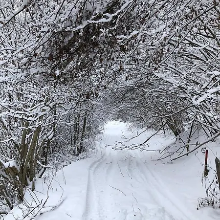 Domek alpejski Prinz *